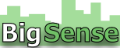 BigSense Logo